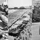 Illustration for article titled Americas First Boardwalk Opened Today in 1870; Celebrate With Taffy